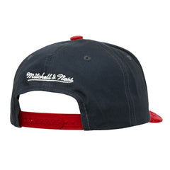 NHL Carolina Hurricanes Mitchell & Ness May Flowers Pro Crown Adjustable Hat