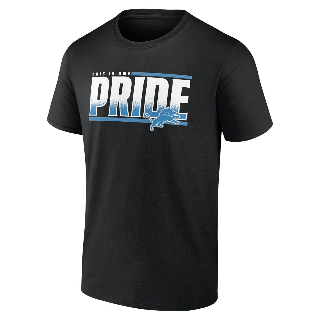 One Pride T-Shirt - Detroit Lions T-shirts