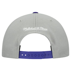 Gray Tampa Bay Rays Mitchell & Ness Cooperstown Collection Basic Flip Snapback Hat