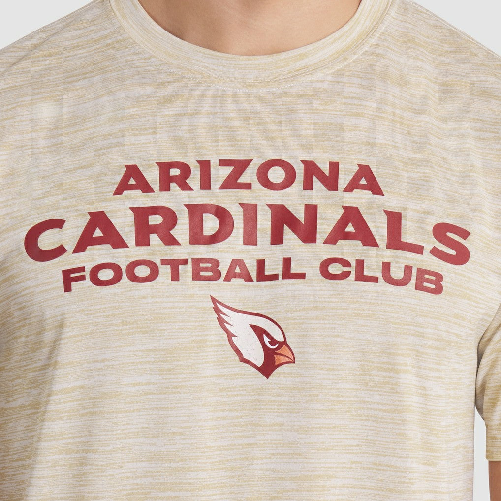 2025 Rivalries Collection Sideline Velocity Dri-FIT T-Shirt - Arizona Cardinals T-shirts