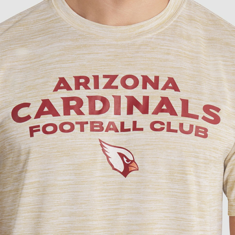 2025 Rivalries Collection Sideline Velocity Dri-FIT T-Shirt - Arizona Cardinals T-shirts