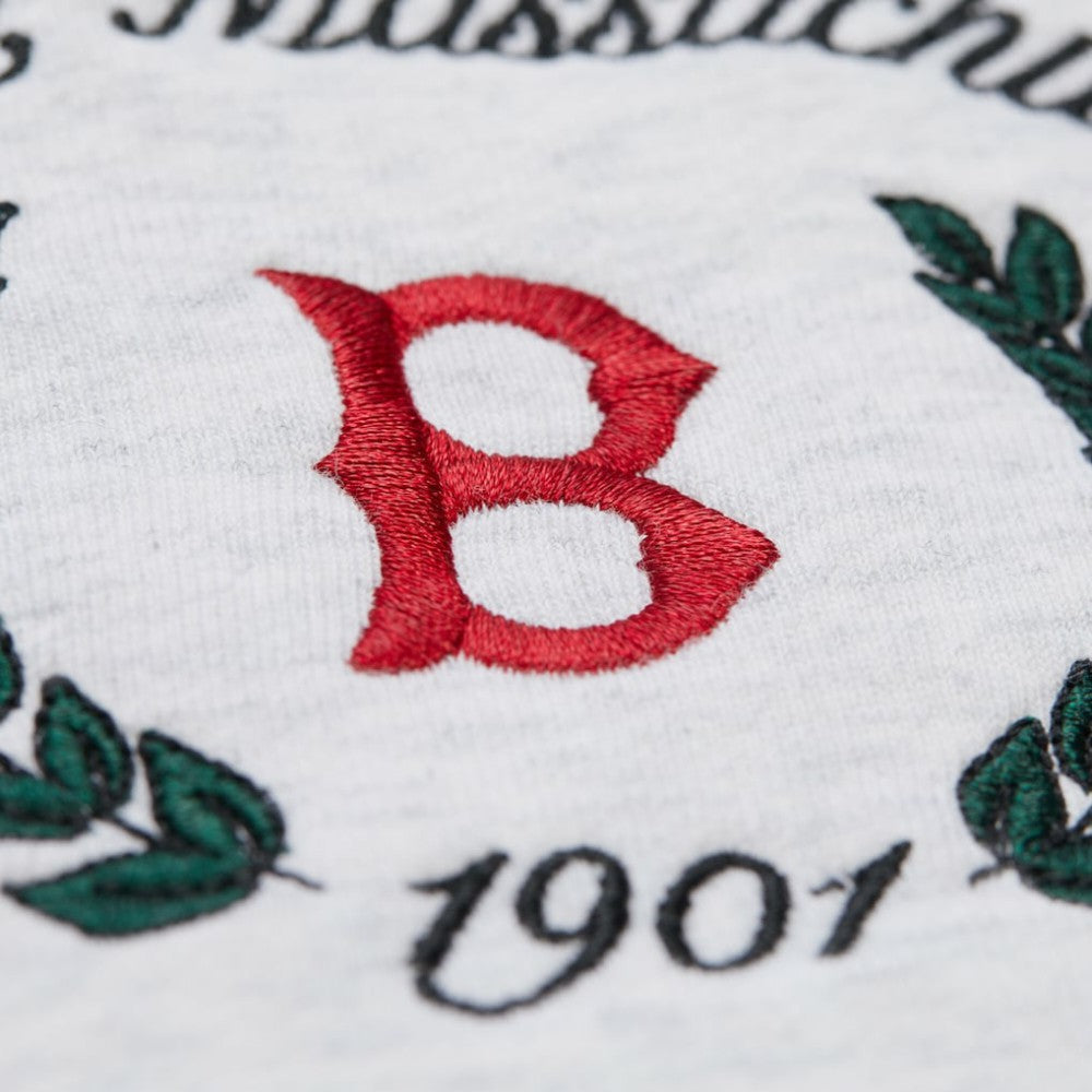 Heather Gray Boston Red Sox Mitchell & Ness Women's Cropped Toggle Pullover Sweatshirt