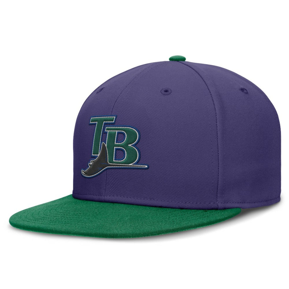 Purple/Green Tampa Bay Rays Nike  True Primetime Two-Tone Performance Fitted Hat