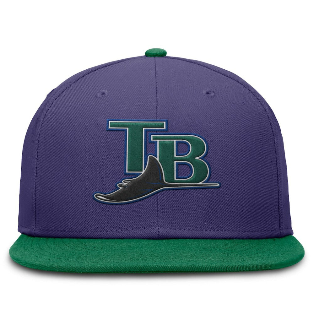 Purple/Green Tampa Bay Rays Nike  True Primetime Two-Tone Performance Fitted Hat