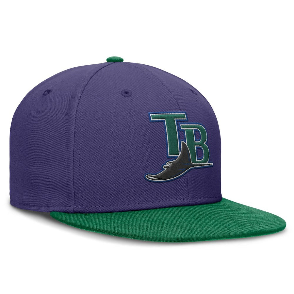 Purple/Green Tampa Bay Rays Nike  True Primetime Two-Tone Performance Fitted Hat