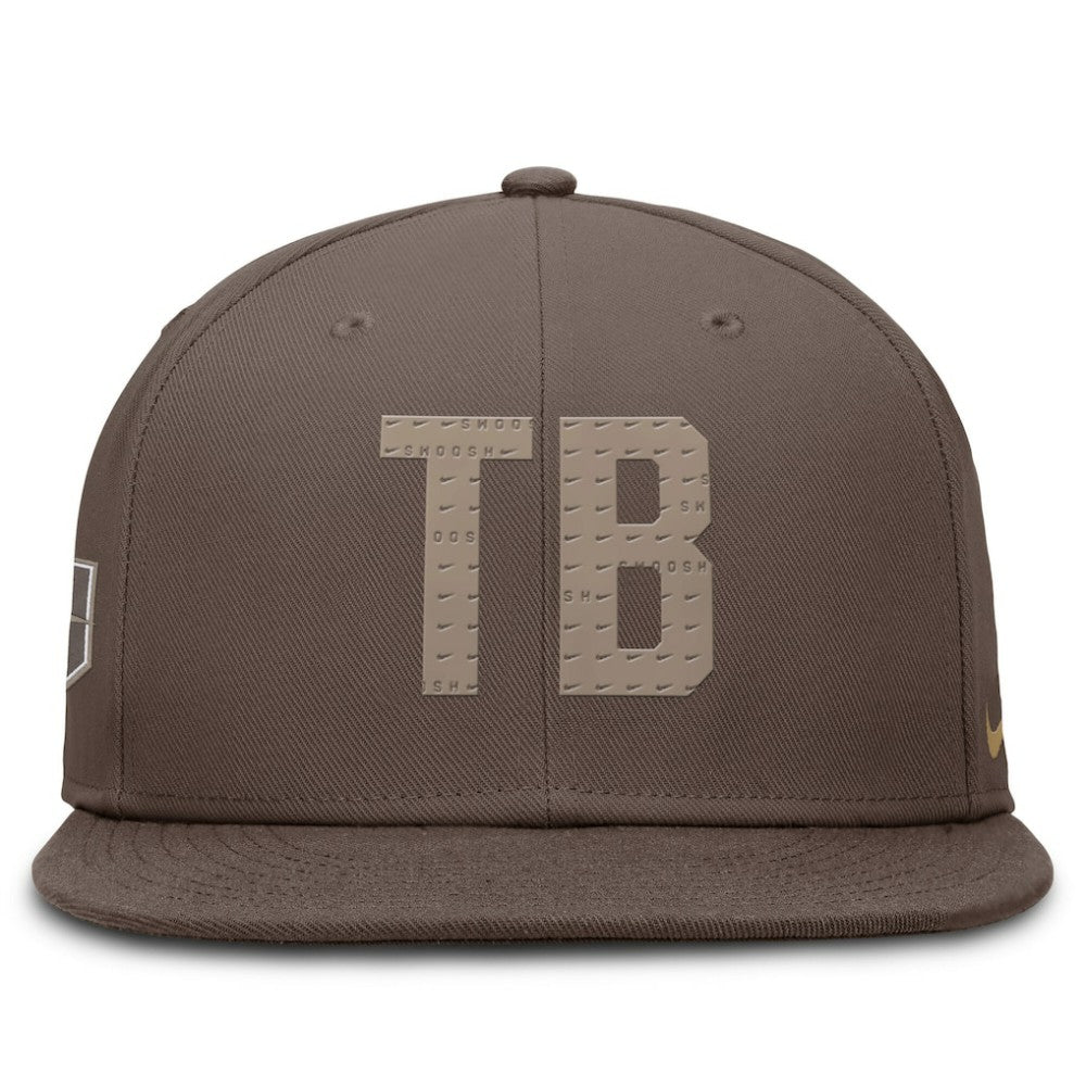 Brown Tampa Bay Rays Nike True Statement 20th AnniversaryPerformance Fitted Hat
