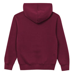 Outerstuff Preschool Back to Basics Hoodie - Washington Commanders Hoodies