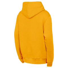 NHL Nashville Predators Outerstuff Youth Back to Basics Hoodie