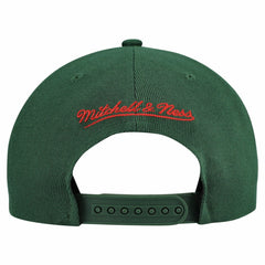 NHL Minnesota Wild Mitchell & Ness Retro Script Colorblock Snapback Hat