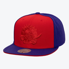 Mitchell & Ness Toronto Raptors Color Pop Snapback Hat