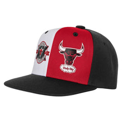 Mitchell & Ness Chicago Bulls Youth 20th Anniversary Duo Front Snapback Hat