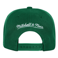 Mitchell & Ness Boston Celtics Youth Anniversary Duo Front Snapback Hat