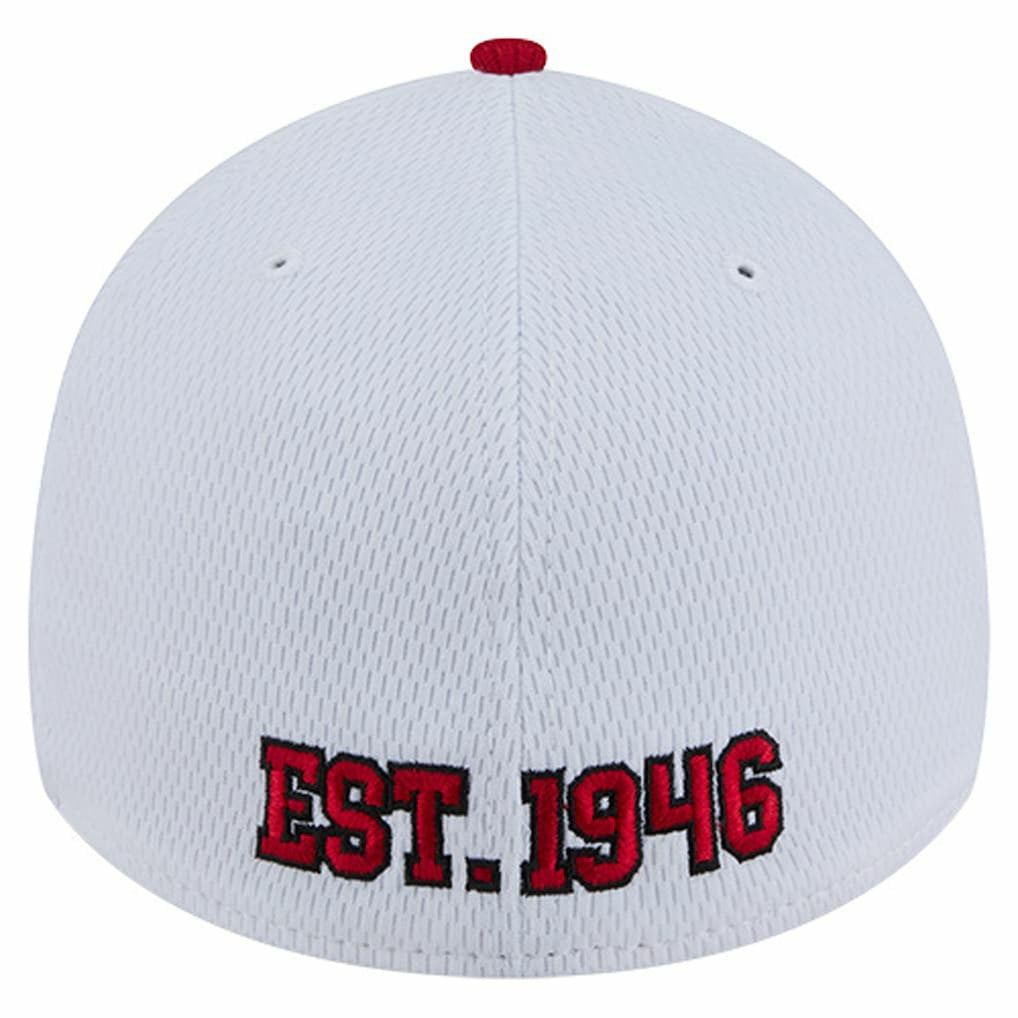 Dashmark Rays 39THIRTY Flex Hat - San Francisco 49ers Hats