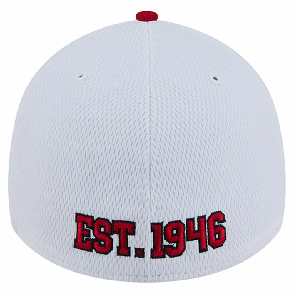Dashmark Rays 39THIRTY Flex Hat - San Francisco 49ers Hats