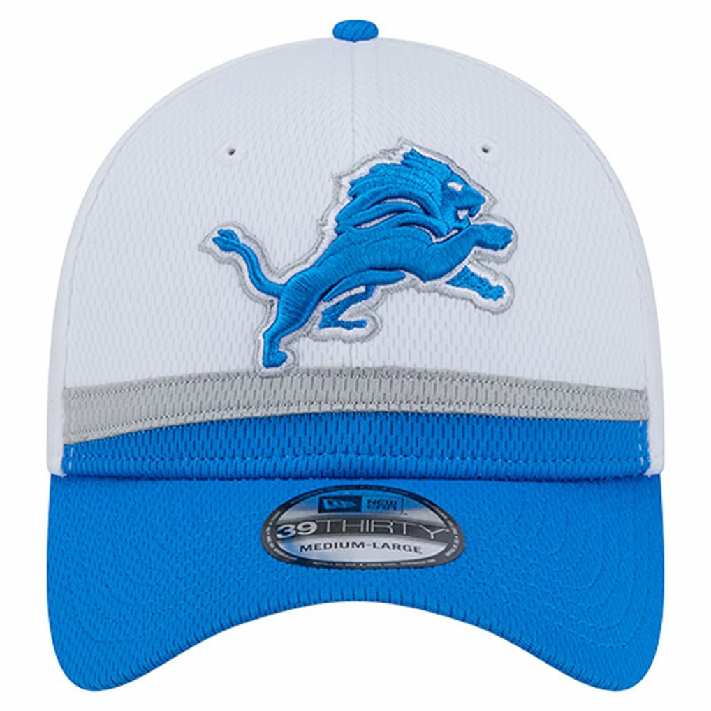 Dashmark Rays 39THIRTY Flex Hat - Detroit Lions Hats