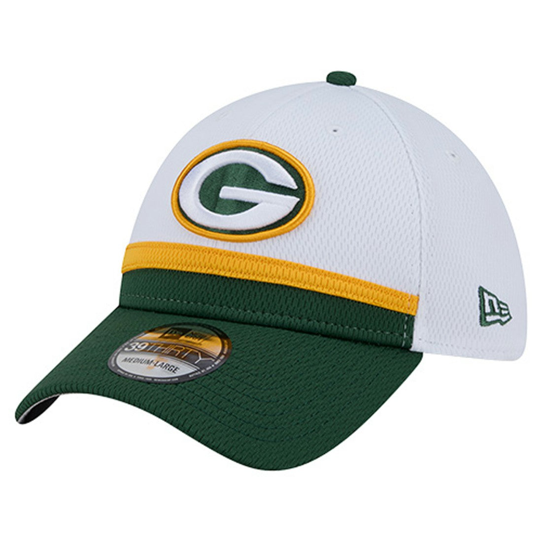 Dashmark Rays 39THIRTY Flex Hat - Green Bay Packers Hats