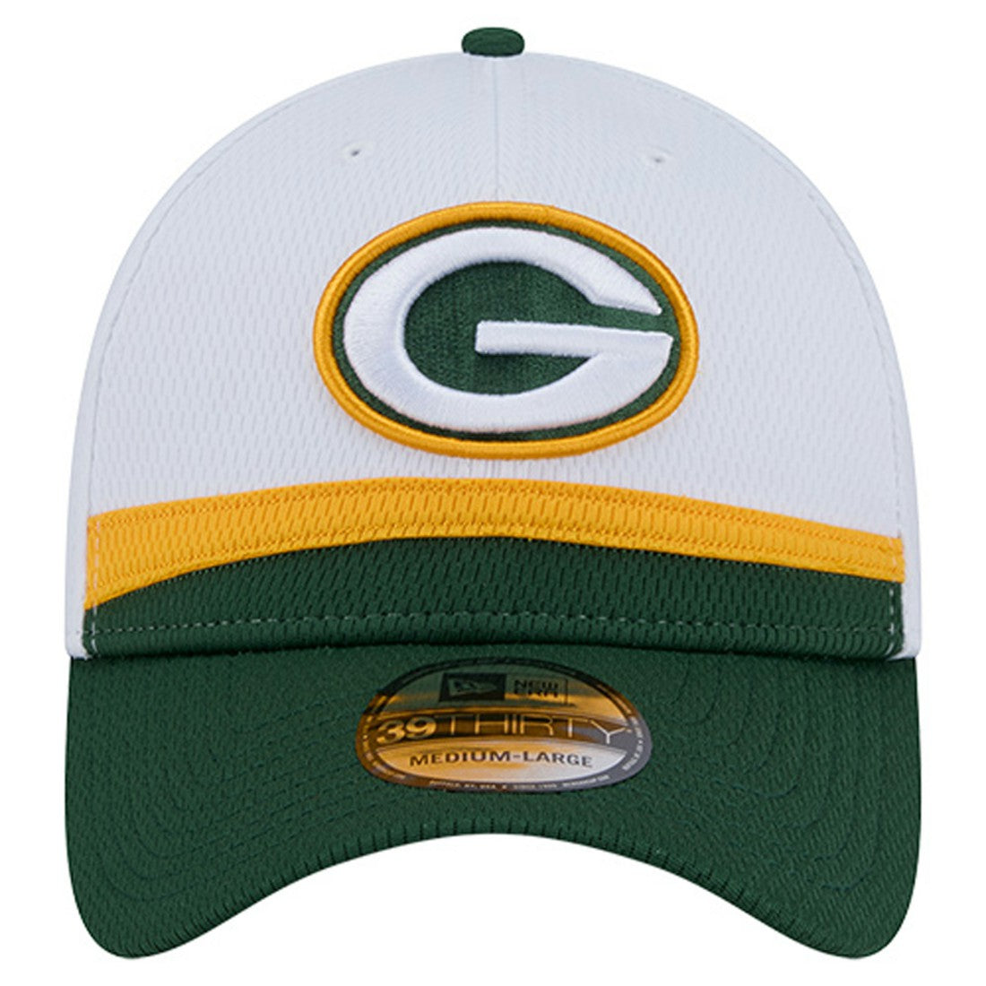 Dashmark Rays 39THIRTY Flex Hat - Green Bay Packers Hats