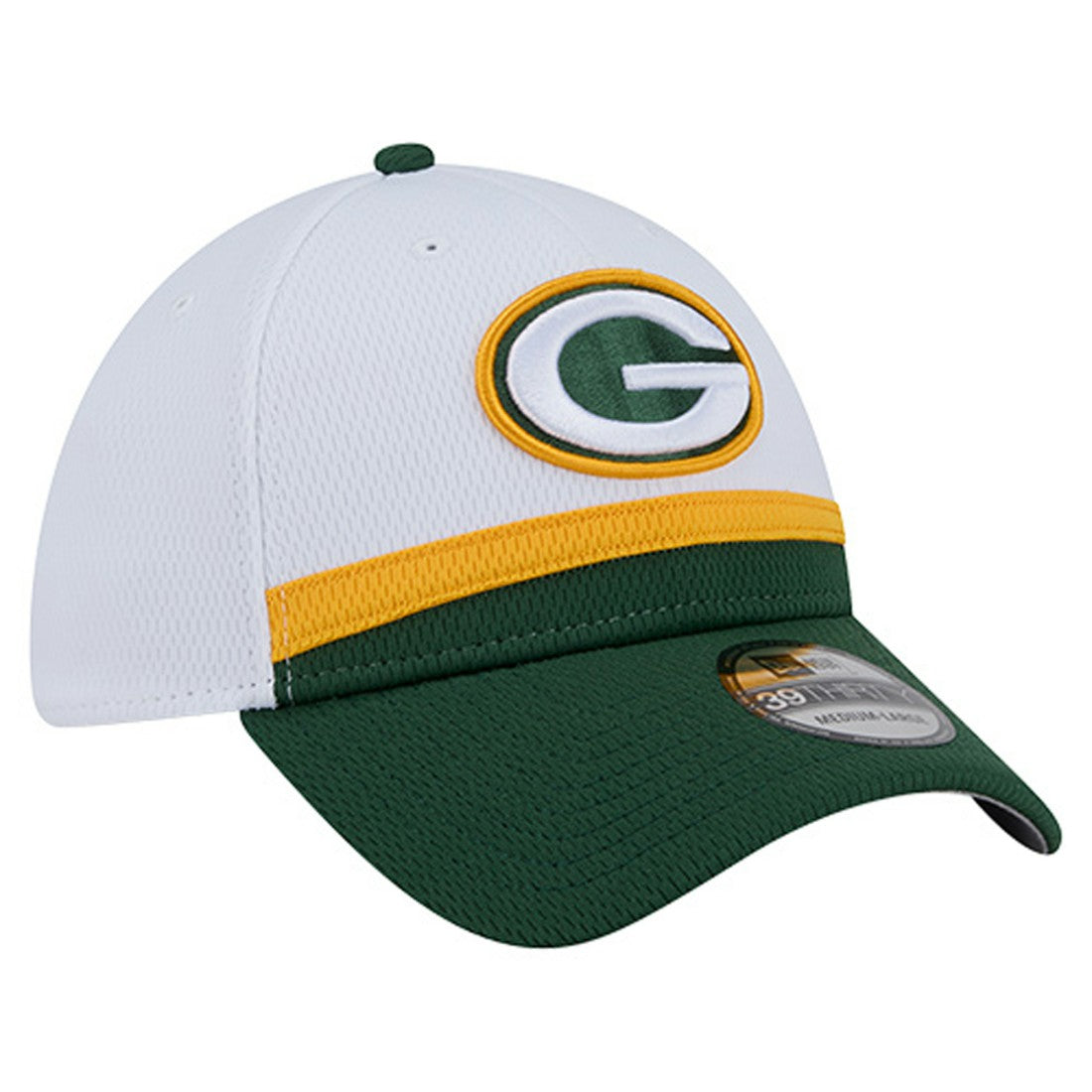 Dashmark Rays 39THIRTY Flex Hat - Green Bay Packers Hats