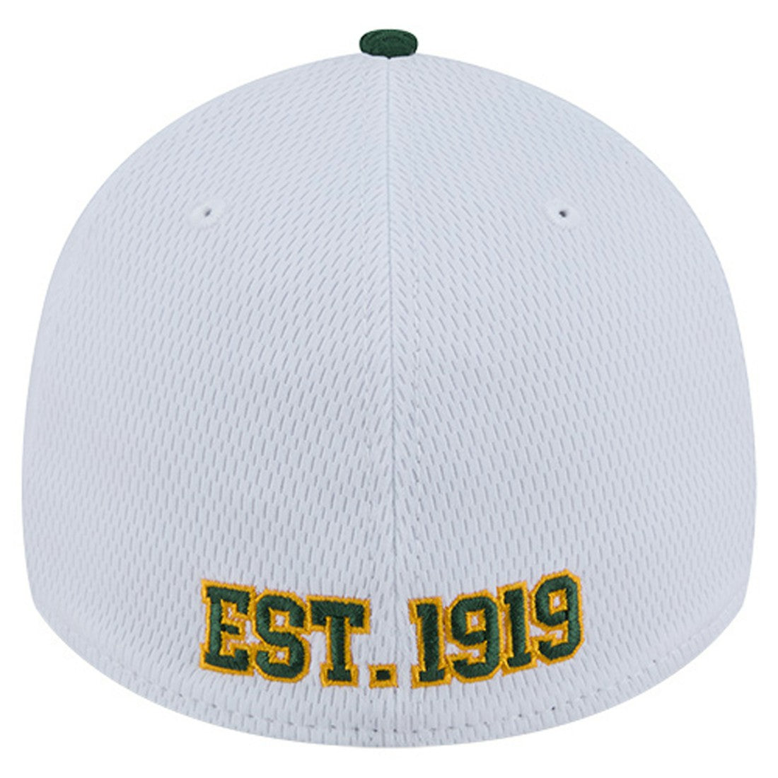 Dashmark Rays 39THIRTY Flex Hat - Green Bay Packers Hats
