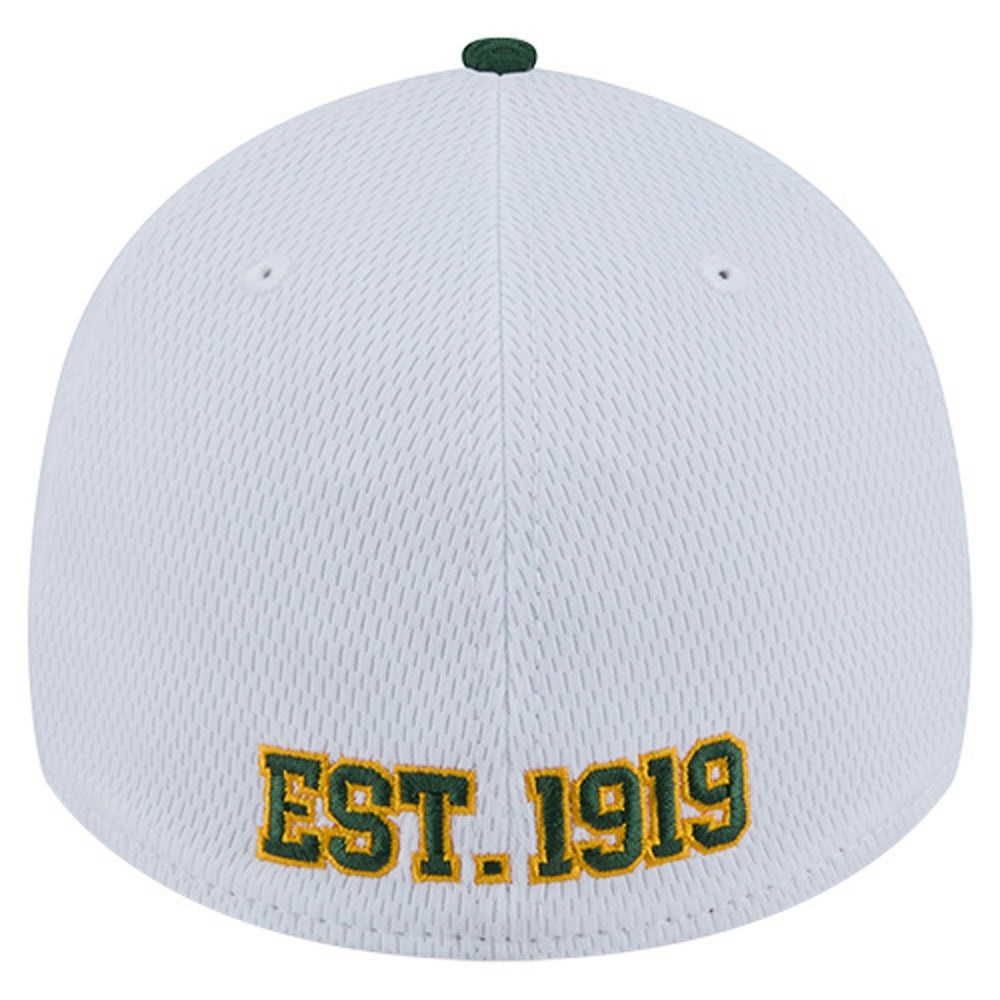 Dashmark Rays 39THIRTY Flex Hat - Green Bay Packers Hats