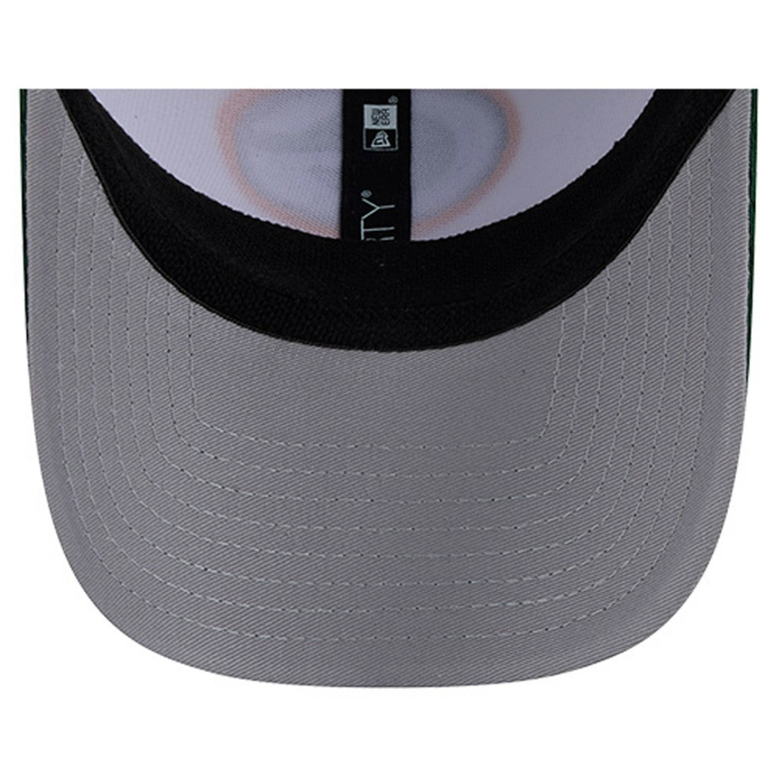 Dashmark Rays 39THIRTY Flex Hat - Green Bay Packers Hats
