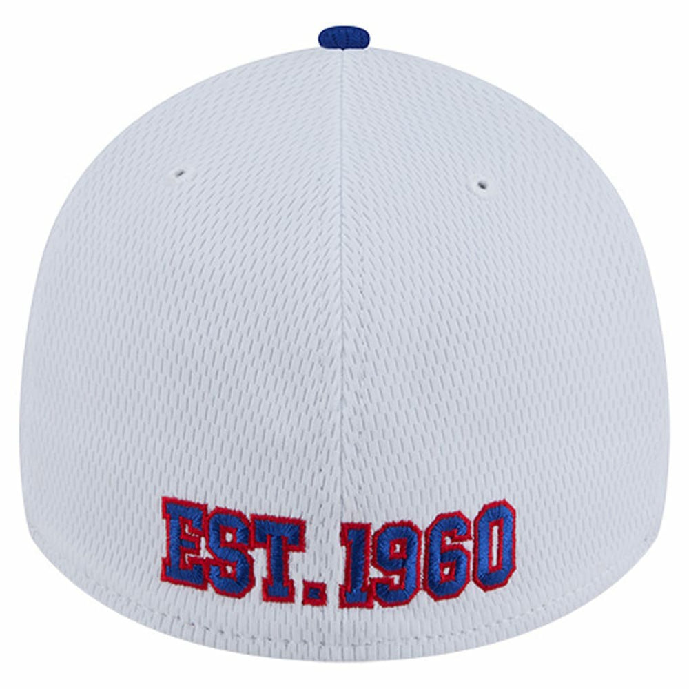 Dashmark Rays 39THIRTY Flex Hat - Buffalo Bills Hats