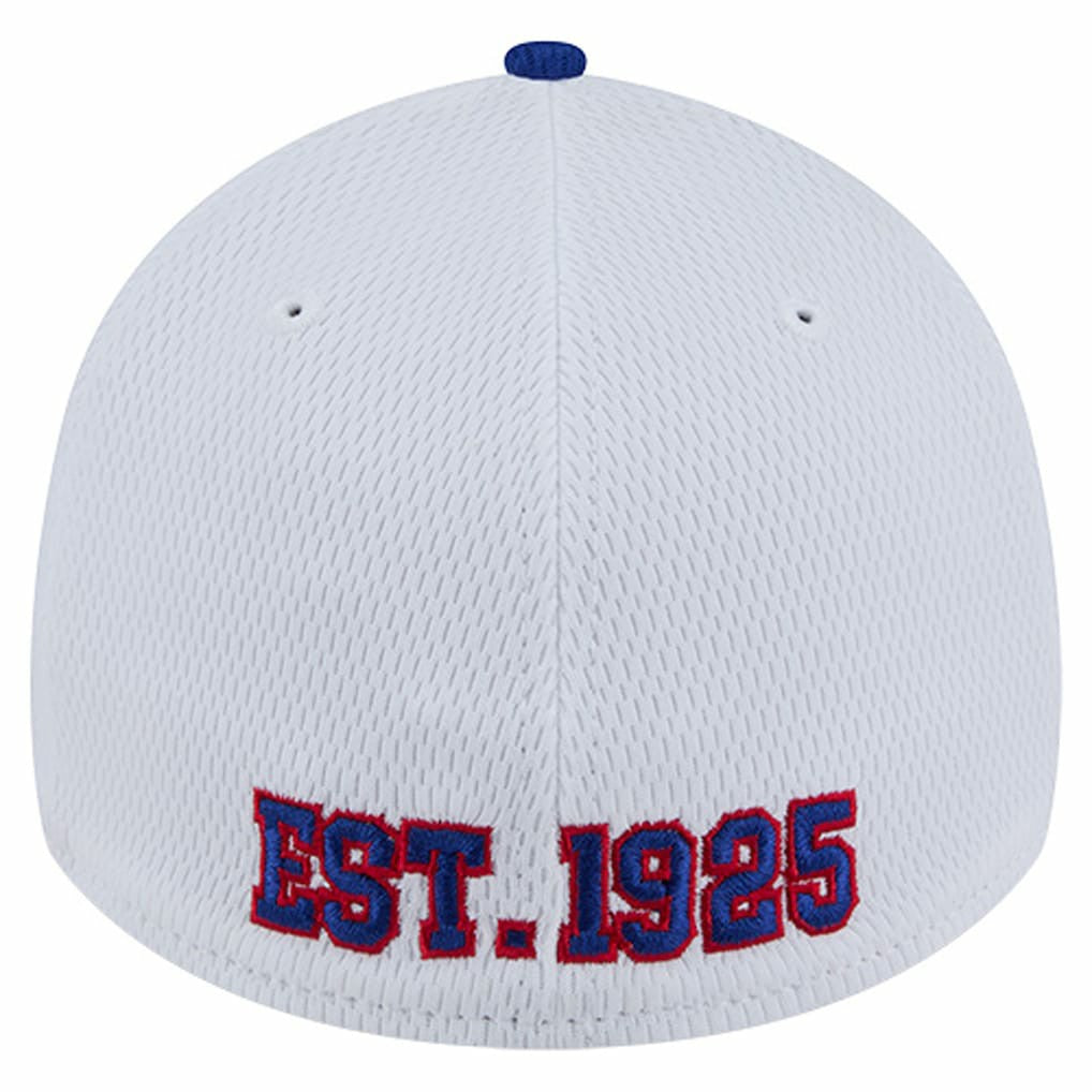 Dashmark Rays 39THIRTY Flex Hat - New York Giants Hats