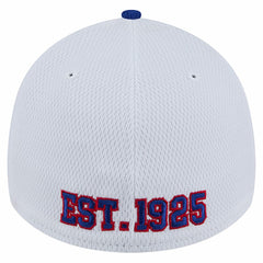 Dashmark Rays 39THIRTY Flex Hat - New York Giants Hats