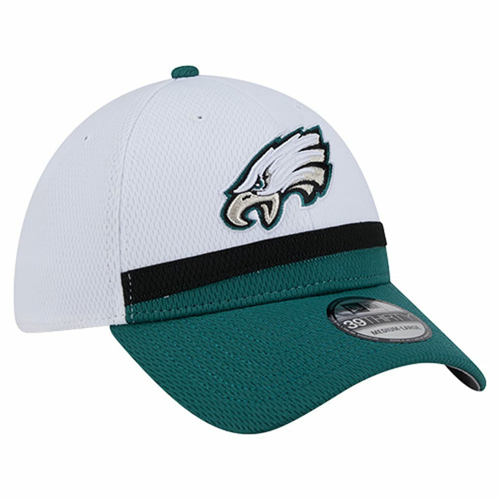 Dashmark Rays 39THIRTY Flex Hat - Philadelphia Eagles Hats