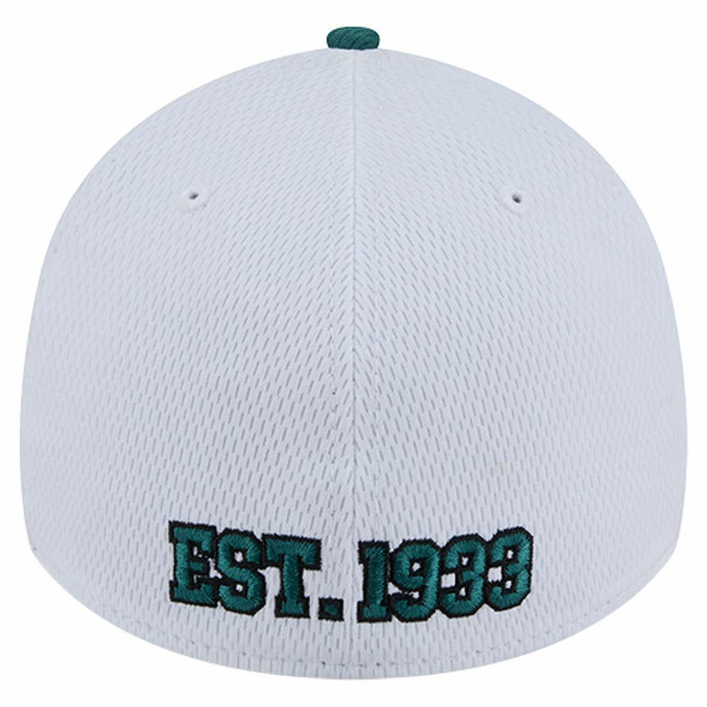 Dashmark Rays 39THIRTY Flex Hat - Philadelphia Eagles Hats