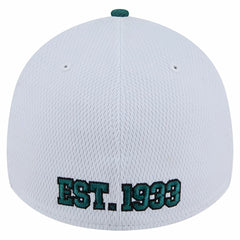 Dashmark Rays 39THIRTY Flex Hat - Philadelphia Eagles Hats