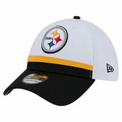 Dashmark Rays 39THIRTY Flex Hat - Pittsburgh Steelers Hats