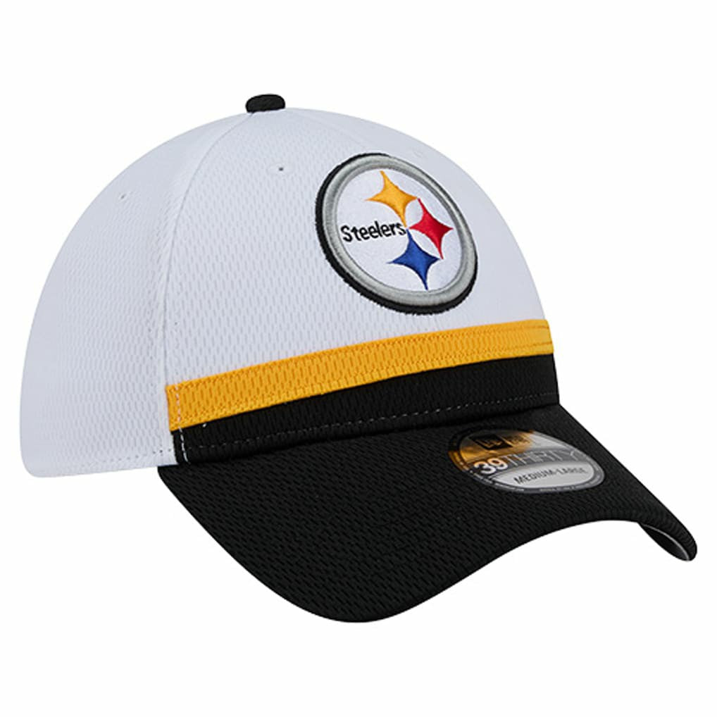 Dashmark Rays 39THIRTY Flex Hat - Pittsburgh Steelers Hats