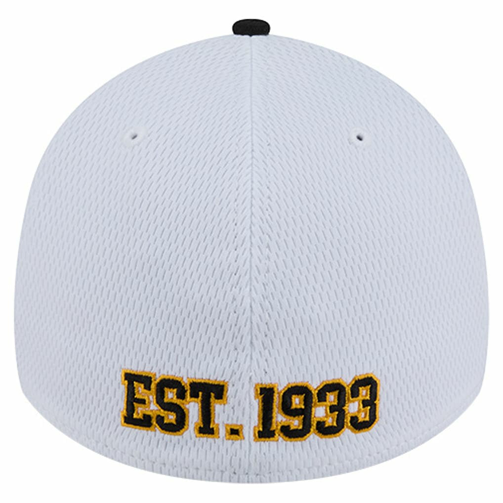 Dashmark Rays 39THIRTY Flex Hat - Pittsburgh Steelers Hats