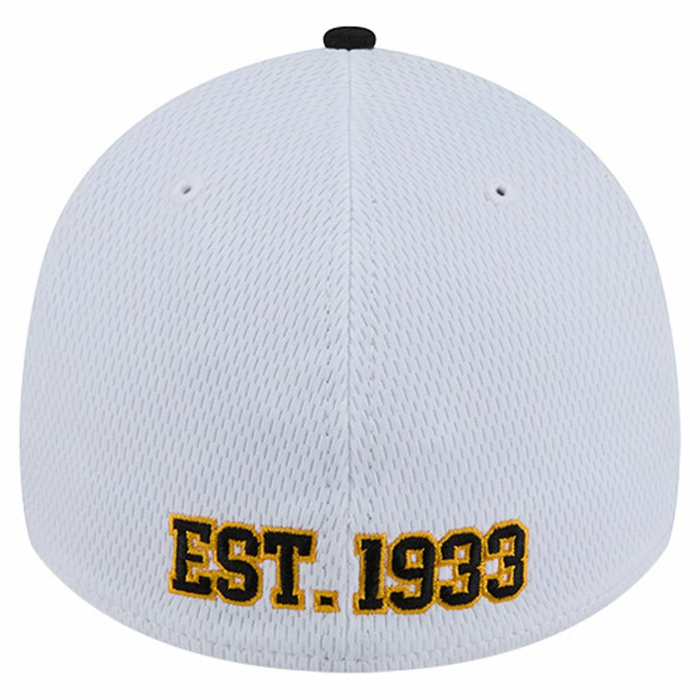 Dashmark Rays 39THIRTY Flex Hat - Pittsburgh Steelers Hats
