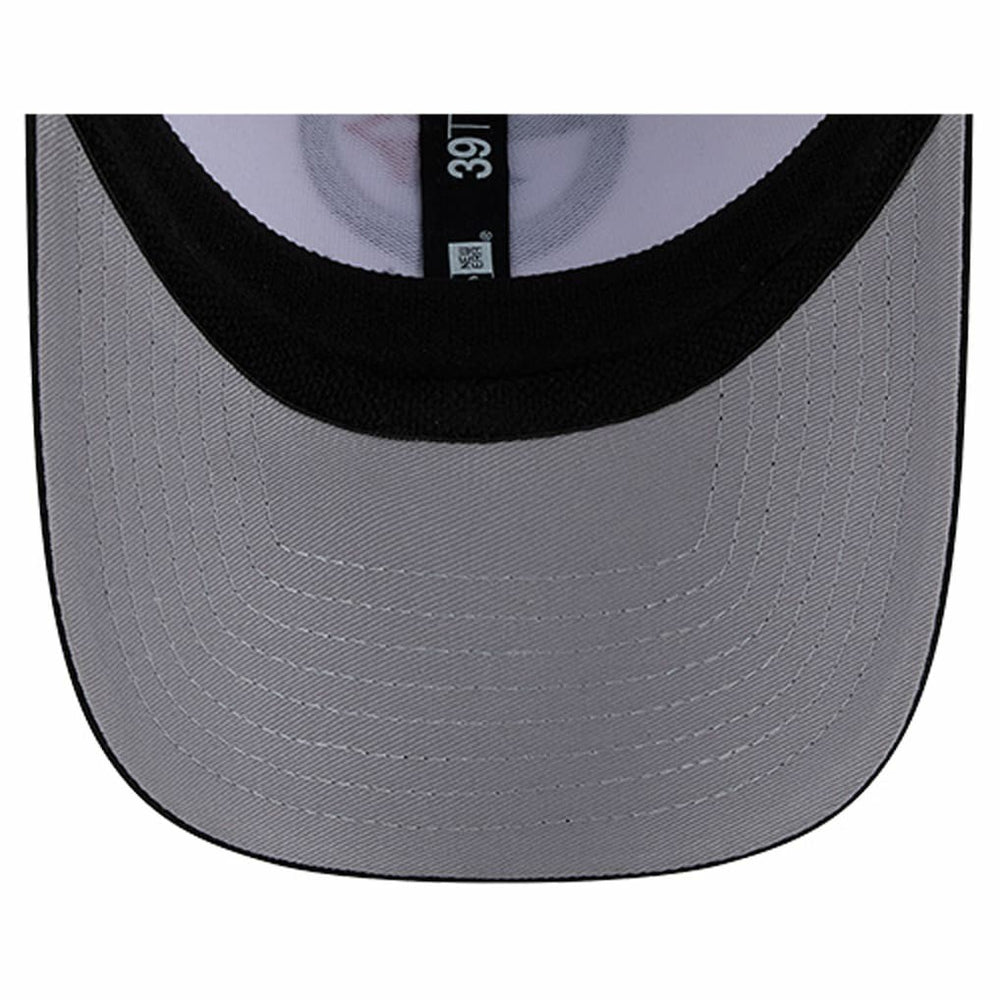 Dashmark Rays 39THIRTY Flex Hat - Pittsburgh Steelers Hats