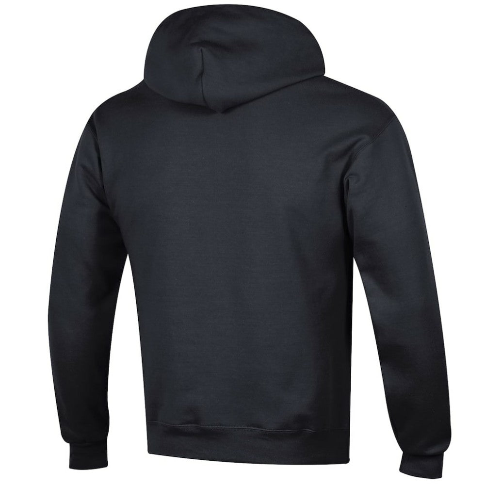 NHL Dallas Stars Champion Primary Logo 1-Hit Pullover Hoodie