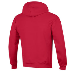 NHL Florida Panthers Champion Primary Logo 1-Hit Pullover Hoodie