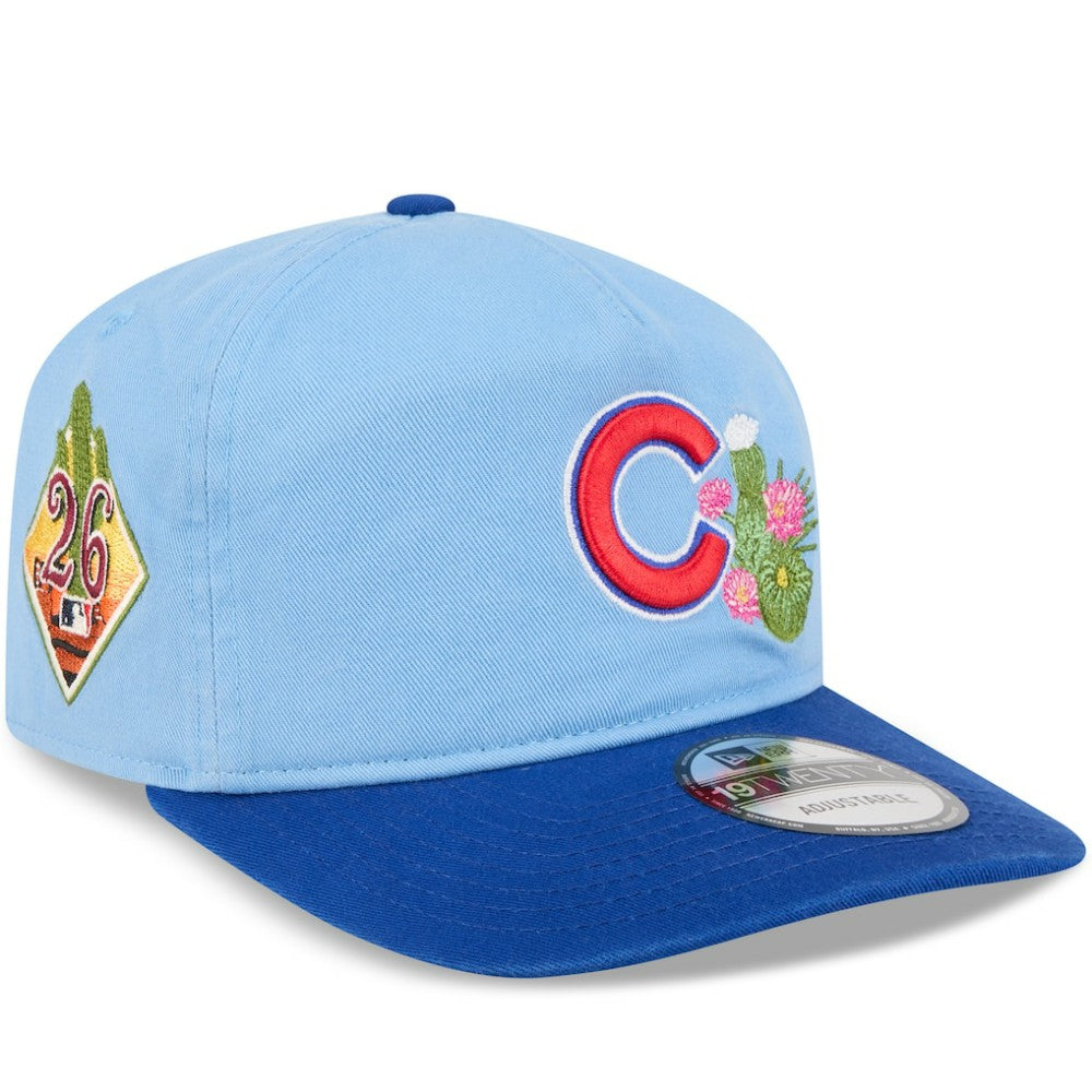 Light Blue/Royal Chicago Cubs New Era 2026 Spring Training 19TWENTY Adjustable Hat