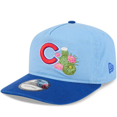 Light Blue/Royal Chicago Cubs New Era 2026 Spring Training 19TWENTY Adjustable Hat