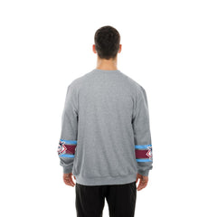Gray Philadelphia Phillies New Era Sport Classics Sweatshirt