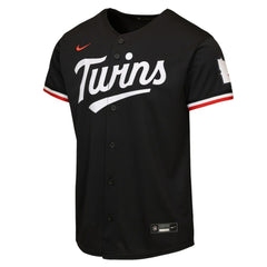 Black Minnesota Twins Nike Youth Alternate 2 Stadium Jersey