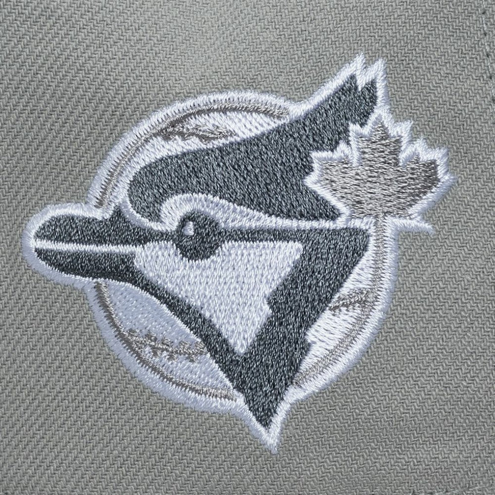 Gray Toronto Blue Jays Mitchell & Ness Cooperstown Thunderstorm Head Coach Pro-Crown Adjustable Hat