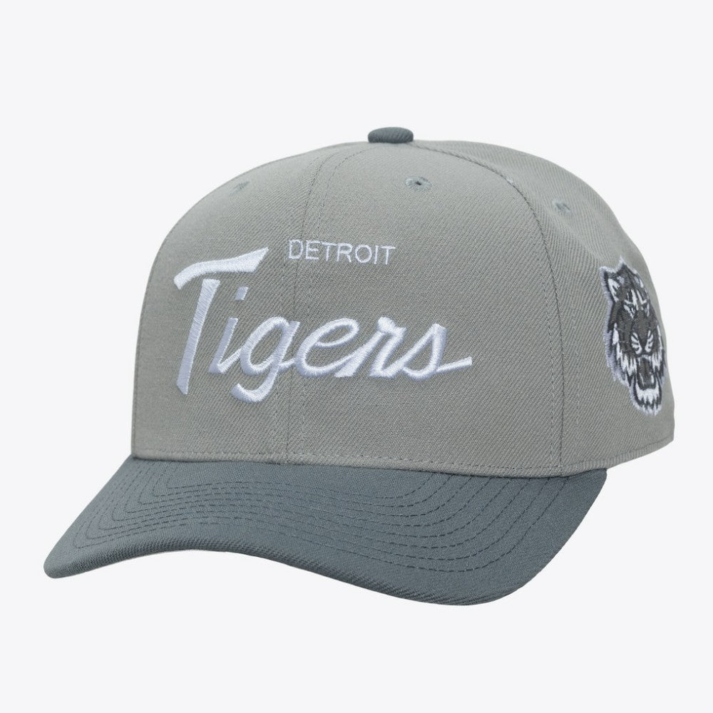 Gray Detroit Tigers Mitchell & Ness Thunderstorm Head Coach Pro-Crown Adjustable Hat