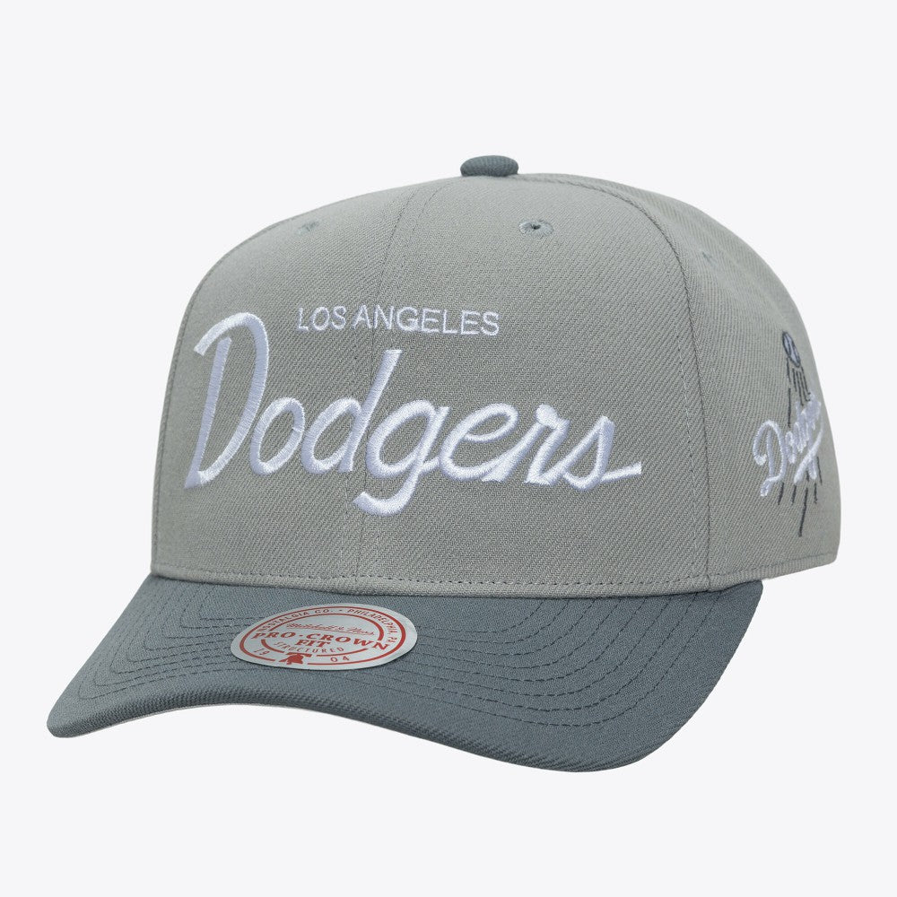Gray Los Angeles Dodgers Mitchell & Ness Thunderstorm Head Coach Pro-Crown Adjustable Hat