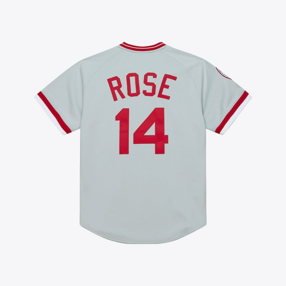 Gray Pete Rose Cincinnati Reds Mitchell & Ness 1976 Authentic Jersey