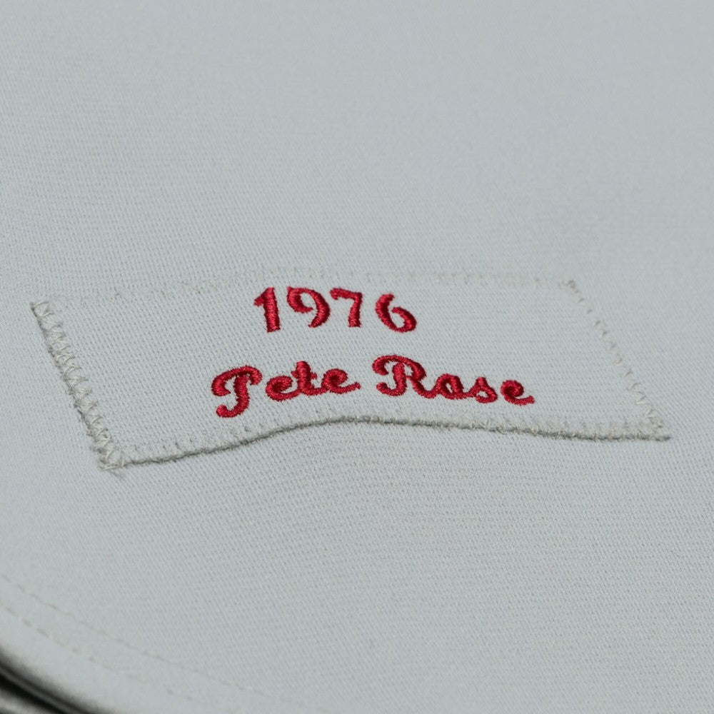 Gray Pete Rose Cincinnati Reds Mitchell & Ness 1976 Authentic Jersey