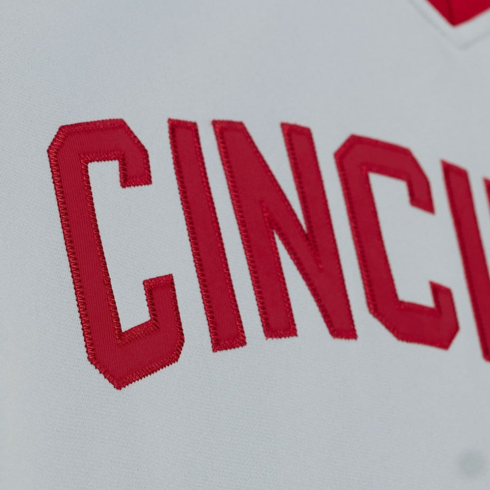 Gray Pete Rose Cincinnati Reds Mitchell & Ness 1976 Authentic Jersey
