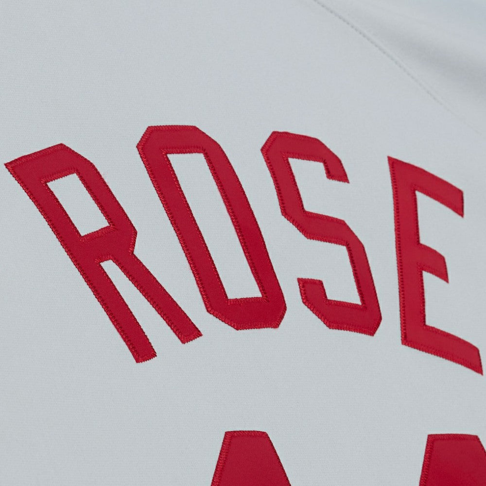 Gray Pete Rose Cincinnati Reds Mitchell & Ness 1976 Authentic Jersey