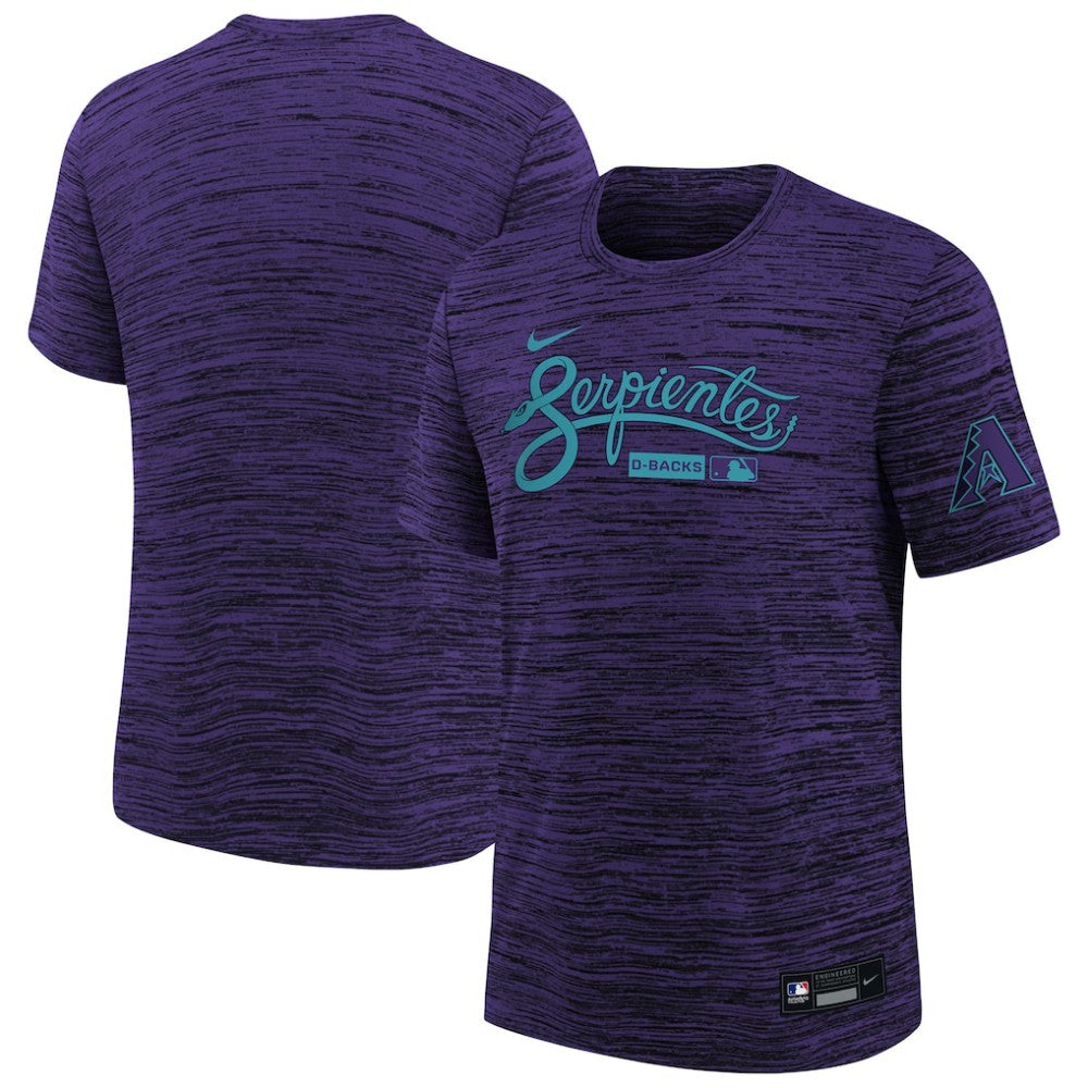Purple Arizona Diamondbacks Nike Youth Authentic Collection Velocity Dri-FIT T-Shirt